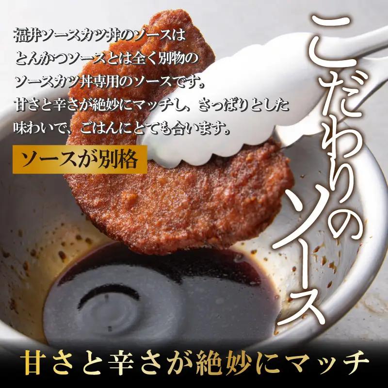 惣菜 ソースカツ丼セット 9人前 [A-037020]