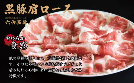 BSR-368-1 【お肉たっぷり（黒豚肩ロース）】 黒豚・黒牛しゃぶしゃぶ専門店SATSUMAの黒豚しゃぶしゃぶセット（4～6人前）
