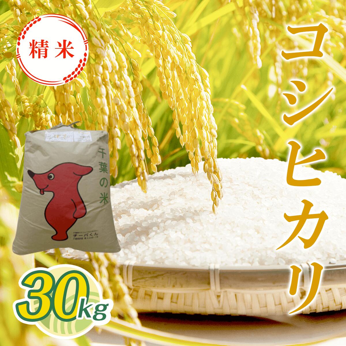【ふるさと納税】令和7年産 新米 コシヒカリ精米 30kg T04501 / 検査済米（1等） 米 精米 白米 コシヒカリ こしひかり こめ コメ ごはん ご飯 千葉県 大多喜町