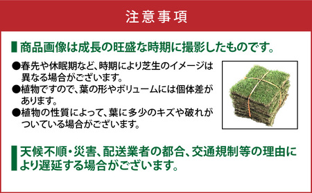 TM9 （ ティーエムナイン ） 省管理型コウライシバ トヨタ自動車(株) 開発品種 50平米 KN080-007-05 芝生 芝 庭 お庭づくり 高品質 新鮮 期間限定 限定 美景観 省管理 お手入