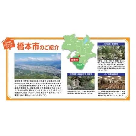【返礼品なし】和歌山県橋本市への応援寄附金(500,000円分)