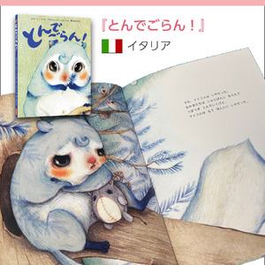 親子で楽しい！ イタリア ・ オランダ の大人気翻訳絵本3冊セット [AR001] / 絵本