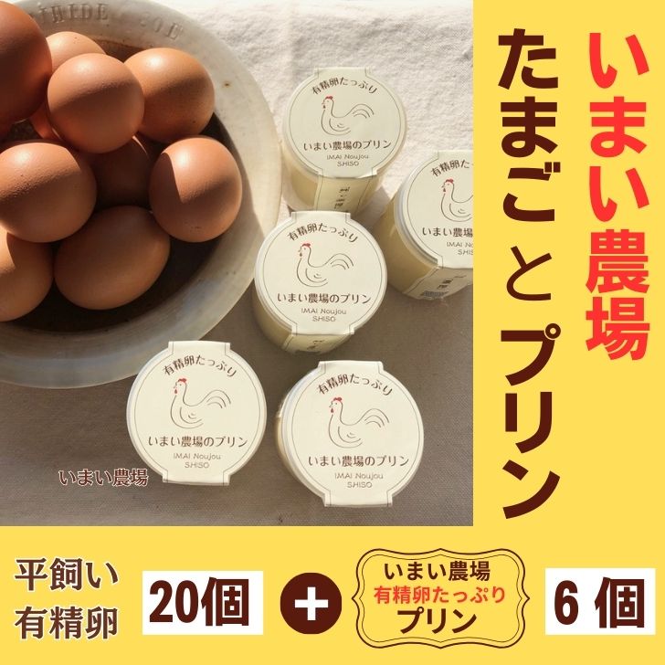 【ふるさと納税】平飼い 有精卵 20個 と プリン 6個　いまい農場　セット 国産 濃厚 卵 たまご 有精卵 デザート スイーツ スィーツ 贈り物 兵庫県 宍粟市 しそうし BQ4