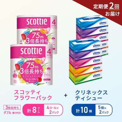 ふるさと納税 岩沼市 【6ヶ月ごと計2回お届け】ティッシュ+トイレットペーパー2P   [No.5704-1777]