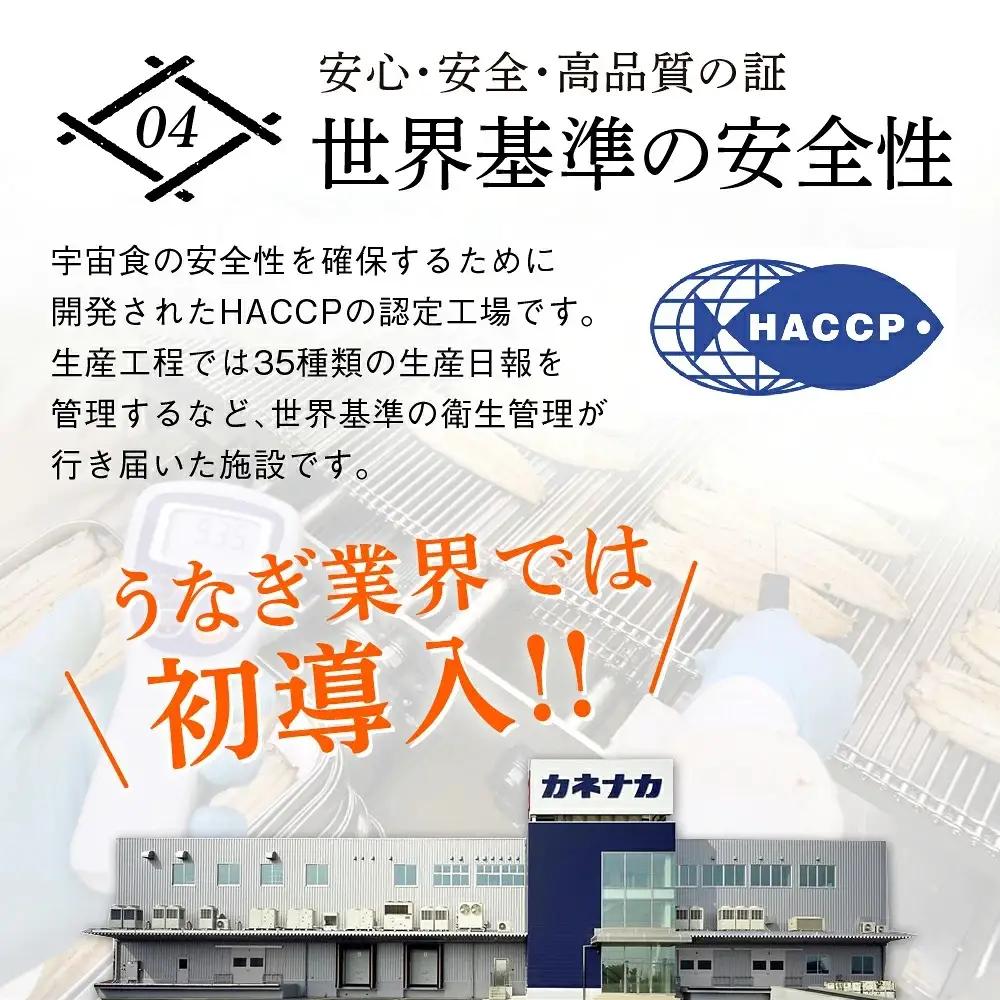 うなぎ蒲焼 中2尾 定期便6回 超絶 うなぎ