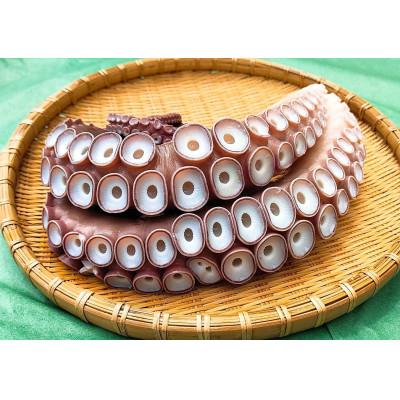 ふるさと納税 小樽市 小樽市祝津[漁師直送]冷凍浜茹でタコ足400g×2個、タコ頭柵切り130g〜150g×1個 |  | 01
