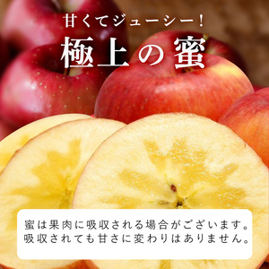 りんごサンふじ蜜入り葉とらず 青森県産 りんご【約5kg】【11月発送】