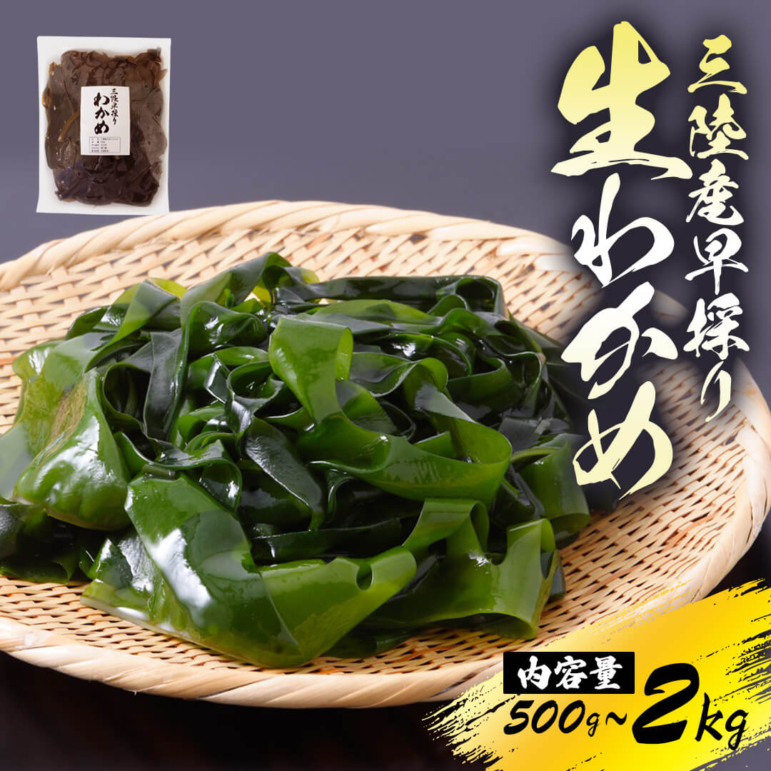 【ふるさと納税】 [ 先行予約 ] 産地直送 早採り生わかめ 新物 冷蔵 選べる容量 期間限定 ★2026年1月中旬～発送予定★ わかめ ワカメ 早採りわかめ 生わかめ 三陸 小分け 若芽 海藻 海産物 味噌汁 ごはん 夕飯 おかず 小分け しゃぶしゃぶ サラダ テレビ 岩手県 国産 大船渡