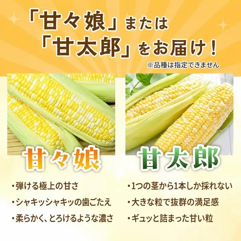 とうもろこし 訳あり 先行予約 甘々娘 甘太郎 約8〜14本 とうもろこし