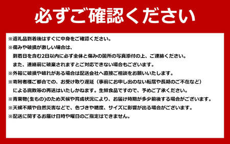 地元テレビで紹介!【先行予約】糖度18～19度! 北海道旭川産スイートコーン約5kg (2026年8月中旬発送開始予定) | とうもろこし とうもろこし_05256