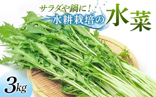 サラダや鍋に！水耕栽培の水菜 3kg F6U-283