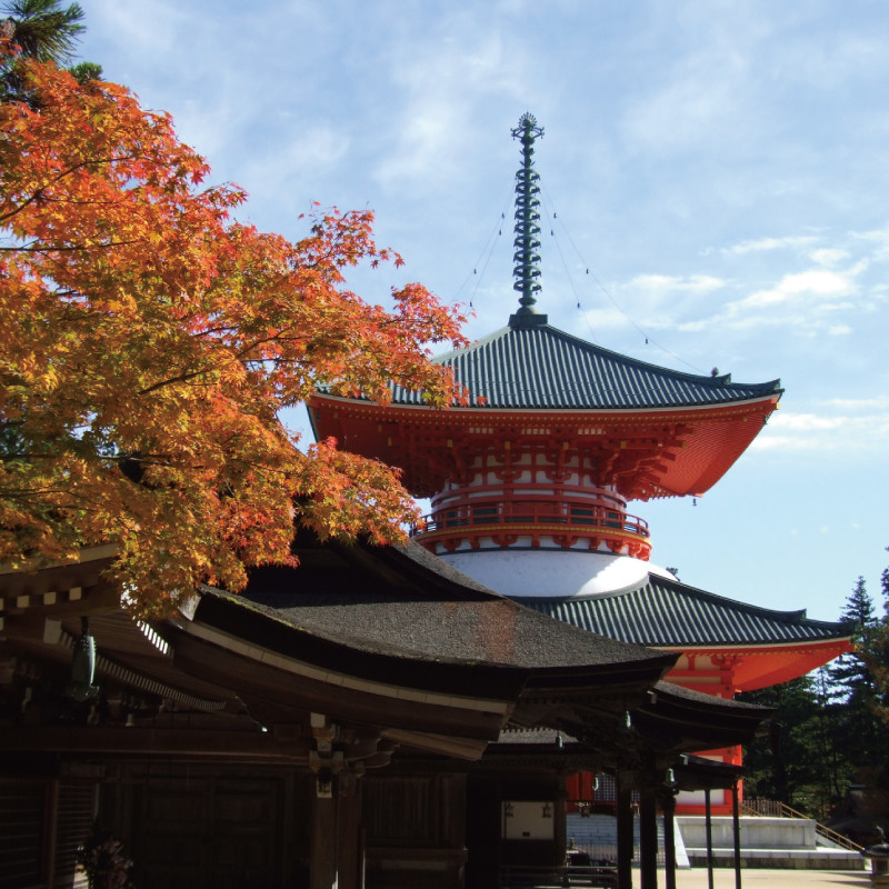 ＜世界遺産高野山＞ 宿坊 宿泊割引チケット 9,000円分
