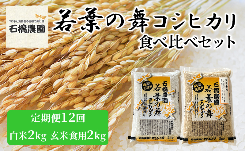 米 若葉の舞 コシヒカリ 白米2kg玄米食用2kg 食べ比べセット 定期便12回 こしひかり お米 白米 玄米 セット 食べ比べ 定期便 精米 千葉 千葉県 低温保存