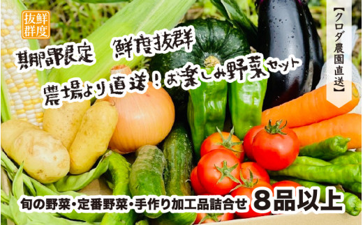 
【先行予約】期間限定 鮮度抜群 農場より直送！お楽しみ 野菜 セット 旬の野菜・定番野菜・手作り 加工品詰合せ ８品以上【2024年7月より順次発送予定】 [e62-a002]
