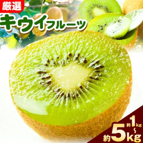先行予約 厳選 キウイ フルーツ 約1kg 約2.5kg 約5kg 各＋250g (傷み補償分) 池田鹿蔵農園@日高町（池田農園株式会社）《11月中旬～2027年4月下旬出荷》和歌山県 日高町 キウイ キウイフルーツ 果物 フルーツ きうい 【配送不可地域あり】