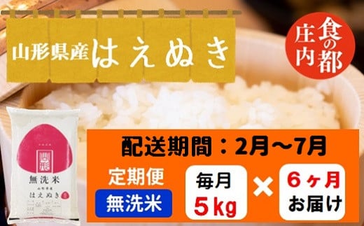 【2月～7月発送】無洗米山形県産はえぬき5kg×6回【定期便6回】