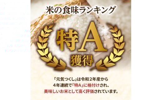 九州・福岡からお届け！ブランド米「元気つくし」定期便 10kg(5㎏×2)【全10回】  お米 米 コメ 白米 特A 直送 お弁当 おにぎり 炊きたて ツヤ 粘り もちもち 弾力 卵かけご飯 福岡県 