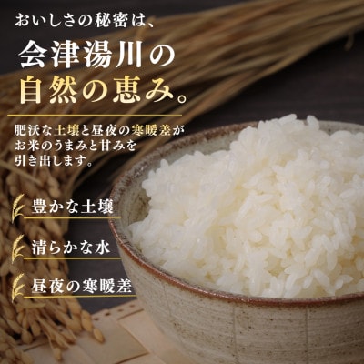 【発送月固定定期便】湯川村産コシヒカリ精米10kg(R8.10月-12月・R9.1月-8月)全11回【4091735】