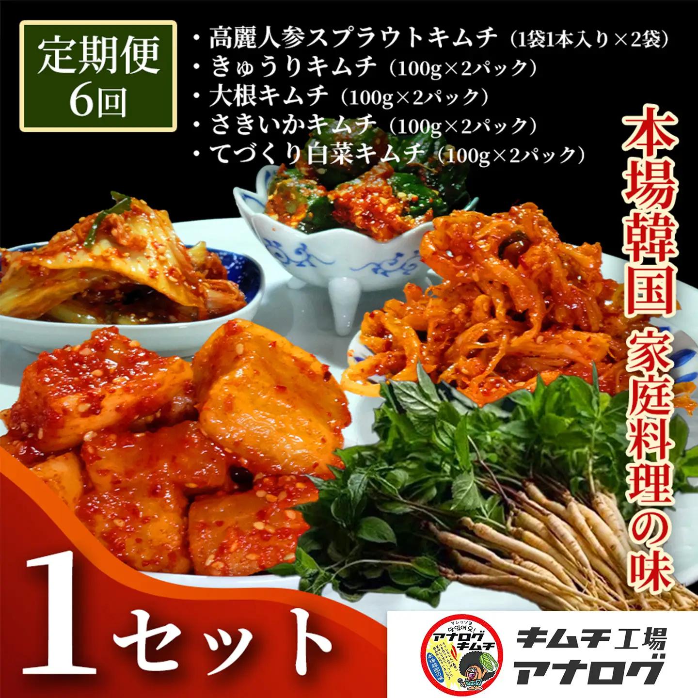 【6カ月定期便】5種の本格キムチ食べ比べ 4種のキムチ(各100g×2パック)＋スプラウトキムチ(1本入り×2袋)(H104268)