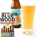 【ふるさと納税】ブルーウッドブリュワリー定番と季節のおすすめビール　計12本セット