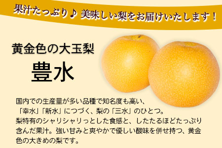 先行予約 産地直送 豊水梨 約4kg (9~10玉前後) 水車の里フルーツトピア 期間限定 岡山県 矢掛町 なし 果物 スイーツ フルーツ デザート《9月上旬-10月上旬頃出荷》