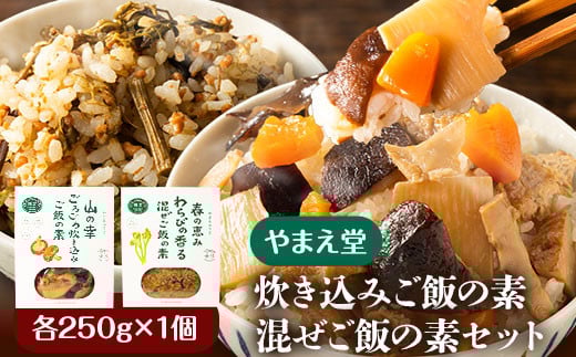 炊き込みご飯の素 混ぜご飯の素セット 各250g×1個 有限会社 やまえ堂 《30日以内に出荷予定(土日祝除く)》山の幸 たけのこ 竹の子 筍 しいたけ きくらげ わらび 炊き込みご飯 混ぜ込みご飯 送料無料---sy_dotkgn_30d_r7_9500_500g_cp---