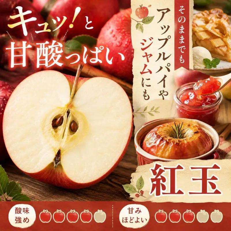 りんご 訳あり 紅玉 4.5kg りんご 