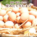 【ふるさと納税】 たまご 卵 単回 or 定期便 3ヶ月～6ヶ月 30個 × 3ヶ月～6ヶ月 30個 ( 26個 ＋ 割れ保障 4個 ) お届け 玉子 産みたて たまご 鶏卵 卵料理 生卵 玉子焼き 国産 玉子 新鮮 卵かけご飯 大容量 生 卵 鶏 天然 すき焼き 目玉 焼き おかず お弁当 下関 豊北 山口