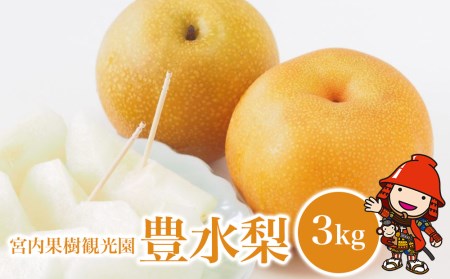 【先行予約】【数量限定】 宮内果樹観光園の豊水梨 約3kg | フルーツ 果物 くだもの 梨 なし ナシ 豊水 豊水梨 産地直送 国産 大分県 中津市