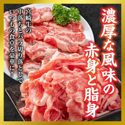 【和牛枝肉共励会牛】(A5)宮崎牛中落ち&バラ切り落としセット_17-25-006_(都城市) 宮崎県 宮崎牛 中落ち バラ 煮込み おでん 焼肉 すき焼き 牛丼 品評会出展牛 特別セット