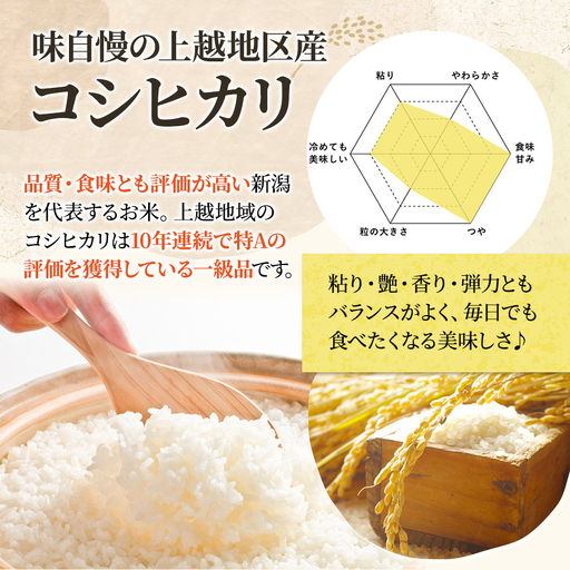 【8年5月配送】令和7年産 新潟上越産コシヒカリ 5kg｜コシヒカリ 米 こしひかり こめ おすすめ 新潟 新潟県産 にいがた 上越 上越産