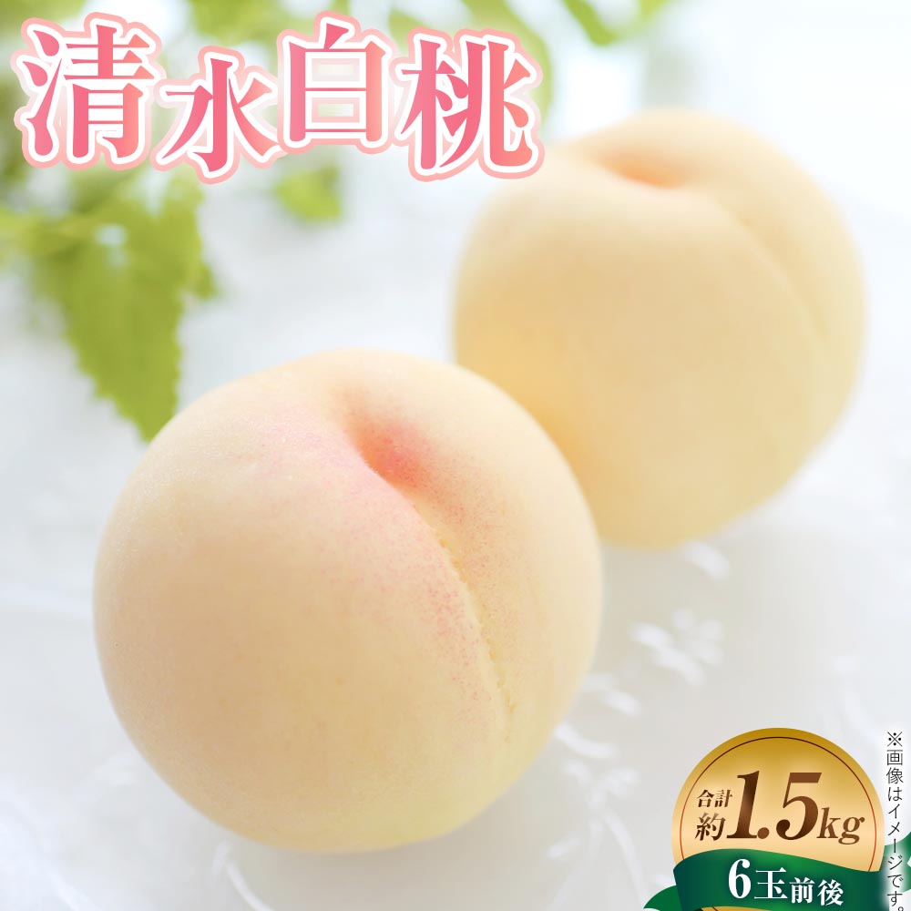 【ふるさと納税】【先行予約】岡山白桃 約1.5kg（6玉前後）【もも 桃 清水白桃 白桃 果物 フルーツ 国産 人気 おすすめ 岡山県 倉敷市】 送料無料【2027年7月上旬～7月下旬迄順次発送予定】