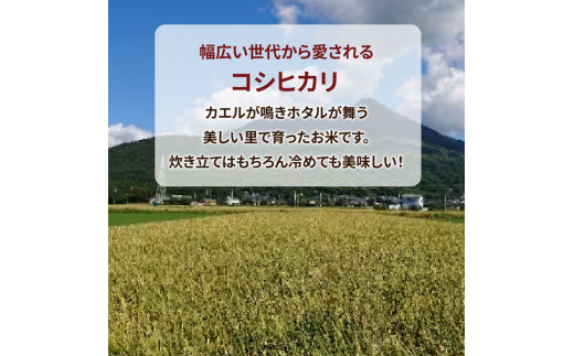 令和6年産米 土浦市産 コシヒカリ 精米5kg ｜ 茨城県土浦市のお米が収穫される旧新治村地区は、ホタルが舞うのどかな里です ※離島への配送不可　※2024年9月下旬～2025年8月上旬頃に順次発送予