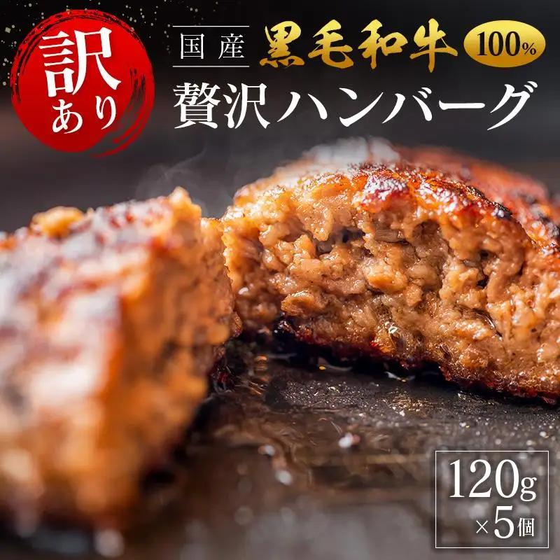 「訳あり」黒毛和牛専門店の国産黒毛和牛100％の贅沢ハンバーグ 5個