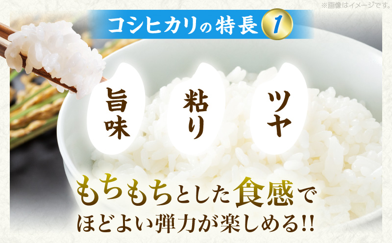 新米 コシヒカリ お米 2kg ご飯 ライス 国産 令和6年産 数量限定 期間限定 人気 食品 精米 白米 こしひかり 有洗米 おにぎり お弁当 炊き込みご飯 雑炊 ギフト プレゼント 贈り物 お取り