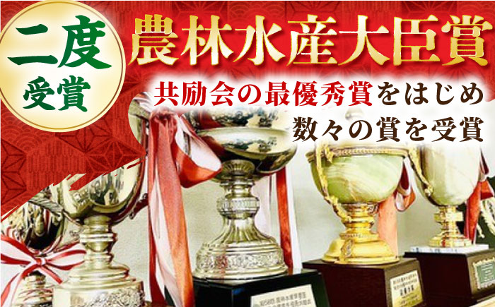 【全12回定期便】佐賀牛 肩ロース スライス 500g【田中畜産牛肉店】 [HBH014]