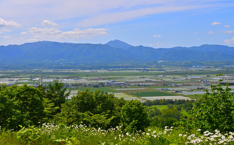 【定期便3回】北海道奈井江町　ななつぼし　10kg