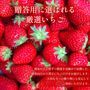 【贈答用】 いちご 12～15個 いちごひめ 3品種から1品種 さがほのか さちのか 紅ほっぺ