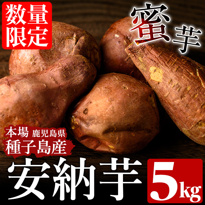 n148 ＜先行予約受付中！2025年10月中旬頃より順次発送予定＞種子島産 安納芋(5kg) 国産 安納芋 本場 種子島 芋 イモ いも さつまいも さつま芋 安納いも 野菜 【種子島安納株式会社】