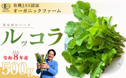 オーガニック ルッコラ 500g【オーガニックルッコラ 有機JAS認証 有機栽培 露地栽培 ルッコラ 新鮮野菜 産地直送 500g 自然栽培 香り豊か 野菜ギフト 冬野菜 旬の野菜 サラダ 肉料理 抗酸化作用 免疫サポート 美容 美容効果 お取り寄せ野菜 】