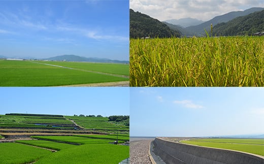 A-149【１等米限定 令和５年産】鹿島市産厳選さがびより 玄米 ４ｋｇ（２kg×２袋）