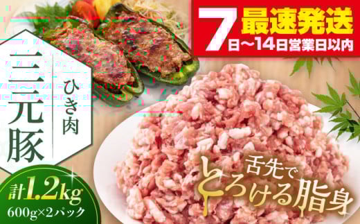 平田牧場 ひき肉 1.2kg (600g×2P) 《喜茂別町》【平田牧場】 肉 豚肉 ミンチ 豚ミンチ 餃子 つくね 冷凍配送 北海道 三元豚  [AJAP077] 13000 13000円
