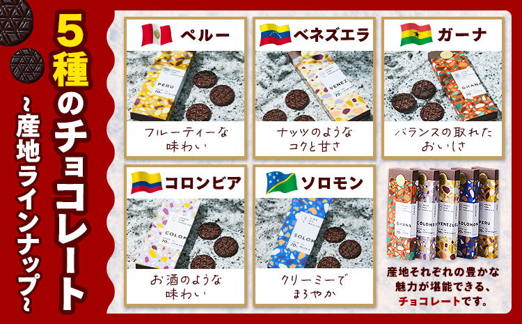チョコレート 石挽きチョコレートセット Lセット計12品 石挽きカカオissai 《30日以内に出荷予定(土日祝除く)》岡山県 矢掛町 チョコレート チョコ カカオ 食べ比べ スイーツ おやつ---o