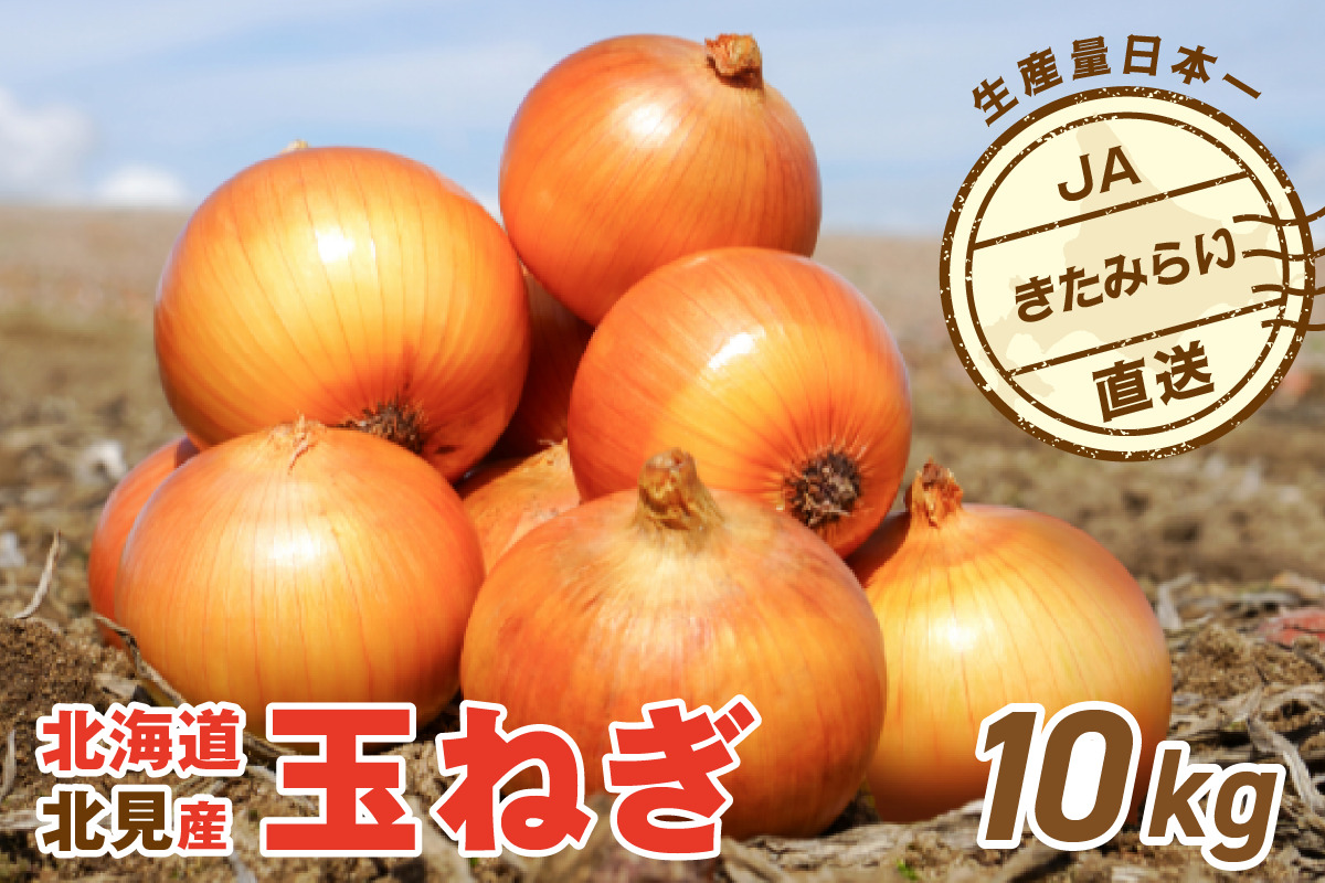 【予約：2027年4月～6月発送】JAきたみらい産 玉ねぎ Lサイズ 10kg 冷蔵 ( タマネギ たまねぎ 野菜 )【210-0005】