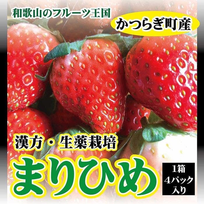 【ふるさと納税】 【フルーツ王国和歌山生まれの品種「まりひめ」】いちご 4パック【2026年3月下旬～2026年4月下旬ごろ順次発送】 | いちご 苺 まりひめ 果物 フルーツ 和歌山県 返礼品