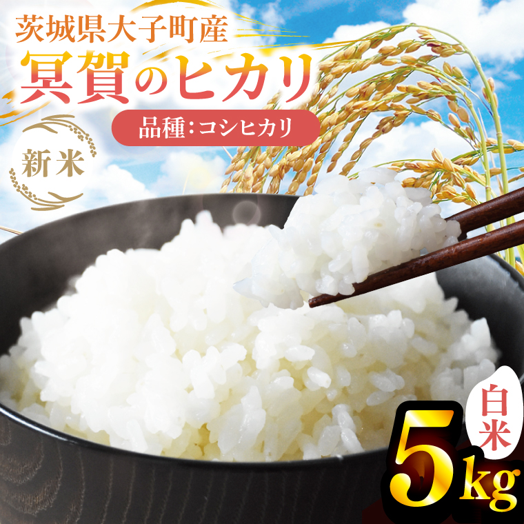 【先行予約】【10月上旬より順次出荷予定】新米5kg 「冥賀のヒカリ」コシヒカリ（白米）令和7年産 ｜茨城県 大子町 奥久慈 天日干し米 おだがけ米 はざがけ米 いねかけ米 米 精米 ご飯 数量限定(DA001)
