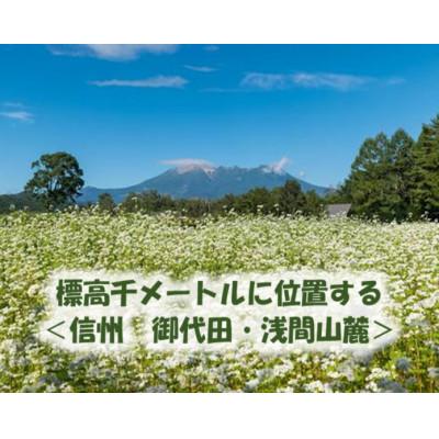 ふるさと納税 御代田町 【信州の七割そば】みよた七割1セット24人前(250g×8袋) |  | 03