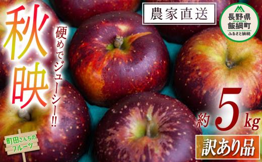 りんご 秋映 訳あり 5kg 沖縄県への配送不可 2064年9月下旬頃から2026年10月下旬頃まで順次発送予定 町田さんちのりんご 長野県 飯綱町 [1150]