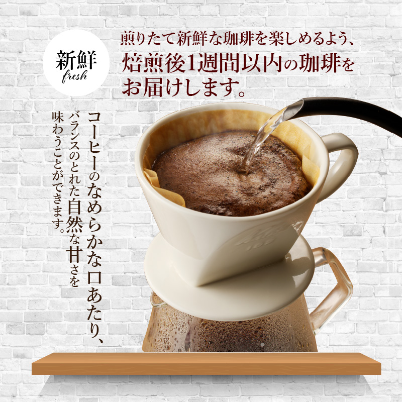 世界の自家焙煎珈琲豆テイスティングセット　１００g×６種類【粉・中挽き】 - コーヒー 自家焙煎 粉 100g 6種類 テイスティングセット 浅煎り 中煎り 深煎り 海外産豆 エチオピア グァテマラ 