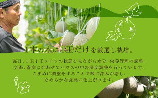 2027年【先行予約 】数量限定 野菜ソムリエ推薦渥美半島伊良湖潮風育ちマスクメロン1玉大玉サイズ(1.7～2キロ)カラーギフト箱入り 2027年６月下旬～８月11日発送 田原市 伊良湖産 ギフト プ